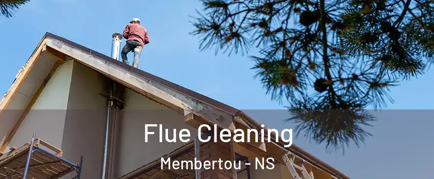  Flue Cleaning Membertou - NS
