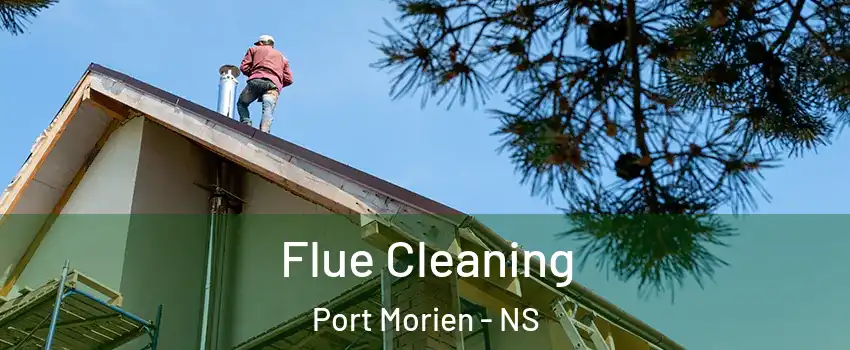  Flue Cleaning Port Morien - NS