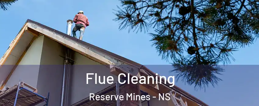  Flue Cleaning Reserve Mines - NS
