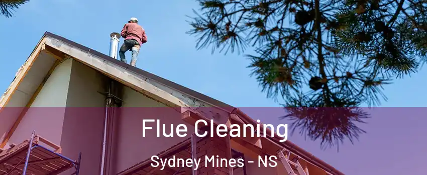  Flue Cleaning Sydney Mines - NS