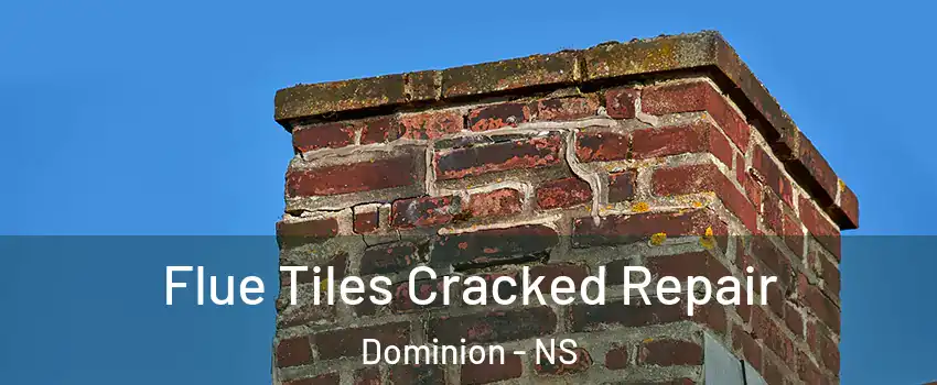  Flue Tiles Cracked Repair Dominion - NS