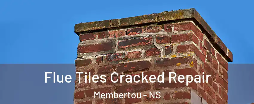  Flue Tiles Cracked Repair Membertou - NS