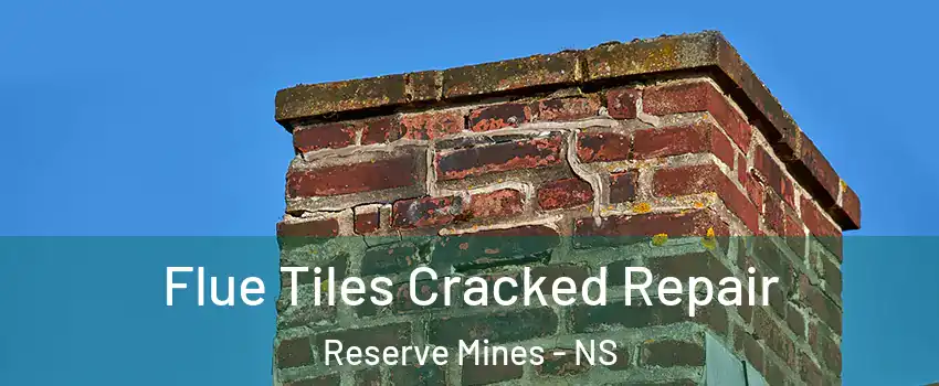  Flue Tiles Cracked Repair Reserve Mines - NS