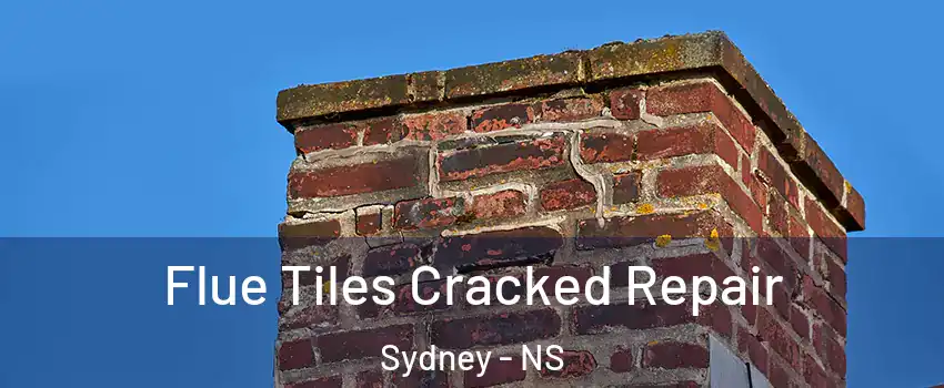  Flue Tiles Cracked Repair Sydney - NS