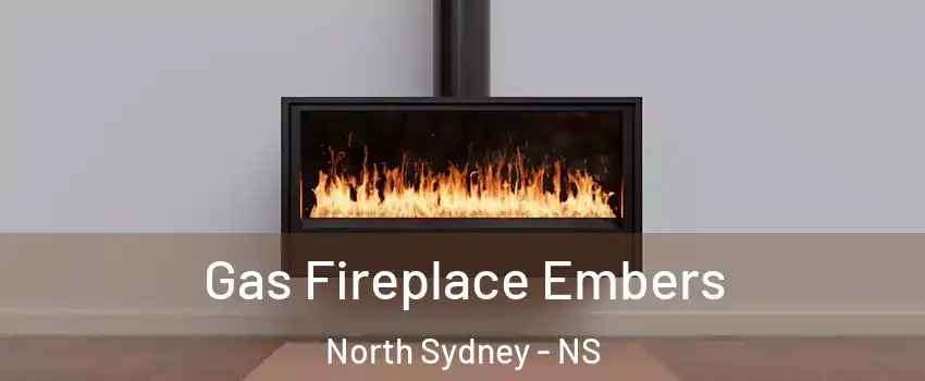  Gas Fireplace Embers North Sydney - NS