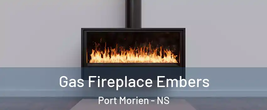  Gas Fireplace Embers Port Morien - NS