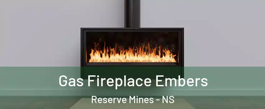  Gas Fireplace Embers Reserve Mines - NS