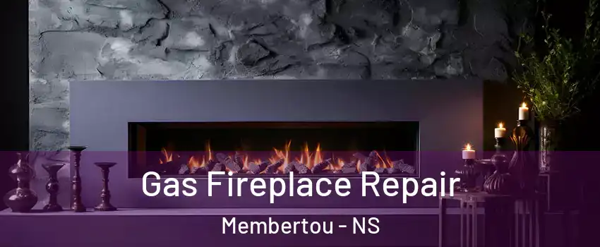  Gas Fireplace Repair Membertou - NS