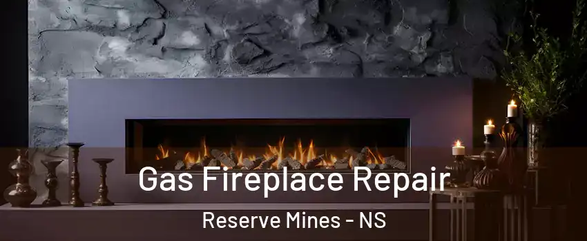  Gas Fireplace Repair Reserve Mines - NS