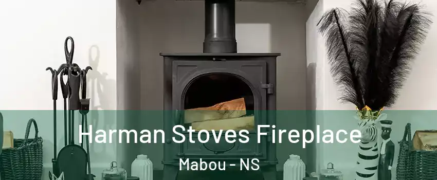  Harman Stoves Fireplace Mabou - NS