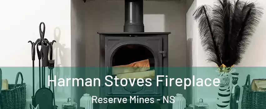  Harman Stoves Fireplace Reserve Mines - NS