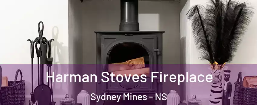  Harman Stoves Fireplace Sydney Mines - NS