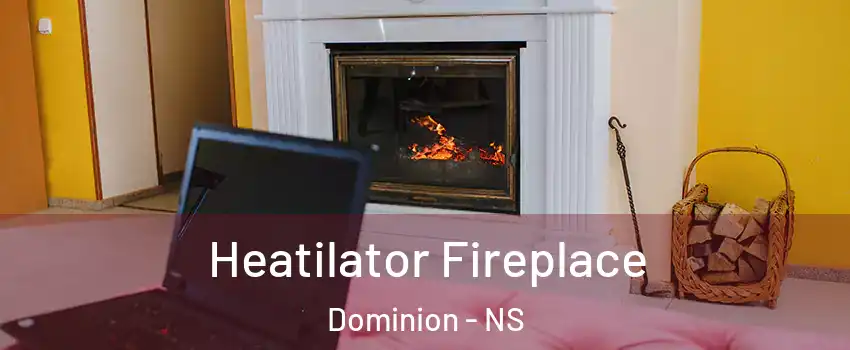  Heatilator Fireplace Dominion - NS