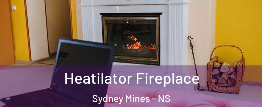  Heatilator Fireplace Sydney Mines - NS