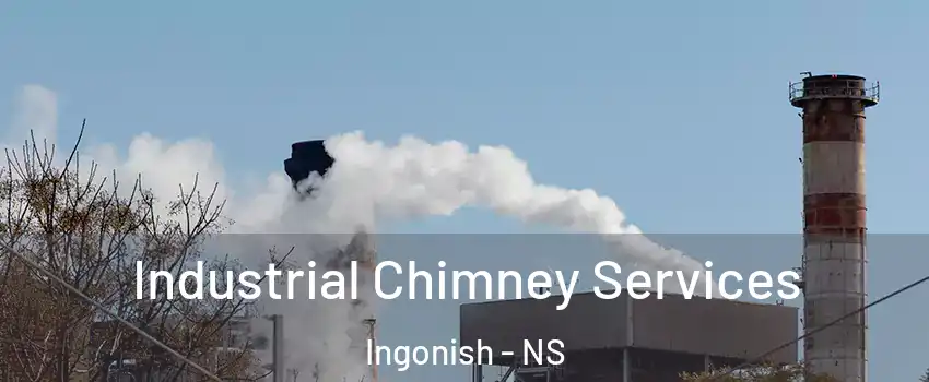  Industrial Chimney Services Ingonish - NS