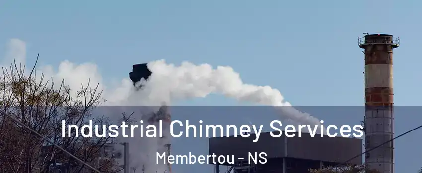  Industrial Chimney Services Membertou - NS
