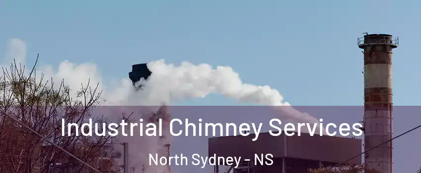  Industrial Chimney Services North Sydney - NS