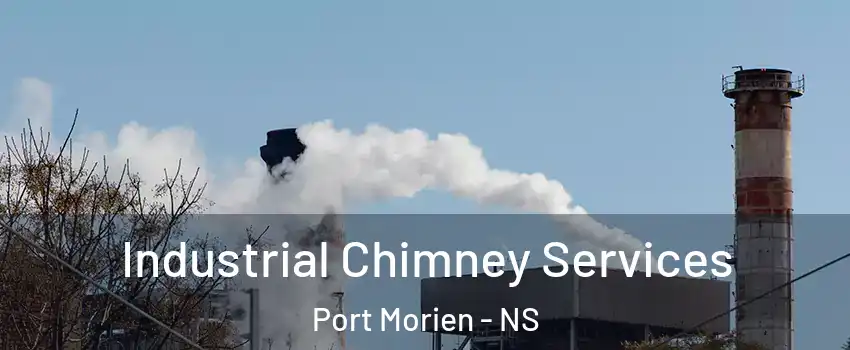  Industrial Chimney Services Port Morien - NS