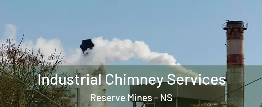  Industrial Chimney Services Reserve Mines - NS