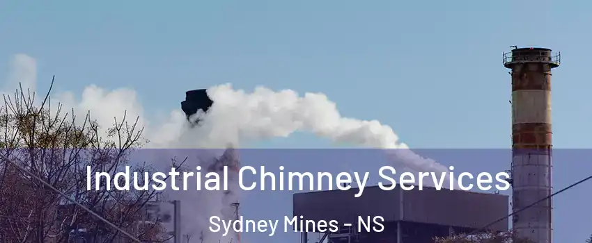  Industrial Chimney Services Sydney Mines - NS