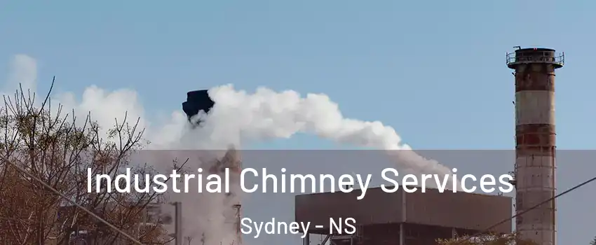  Industrial Chimney Services Sydney - NS