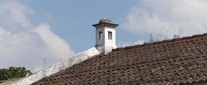 Wind-Resistant Chimney Caps Installation and Repair Services in Dominion, Nova Scotia