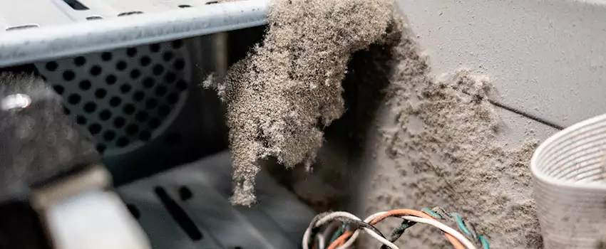 Clogged Dryer Vent Lint Cleaning in Dominion, Nova Scotia
