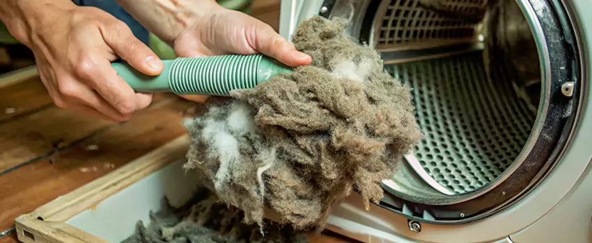 Best Dryer Lint Removal Company in Louisbourg, Nova Scotia