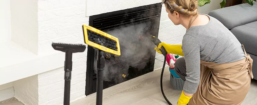 Fireplace Doors Cleaning in Dominion, Nova Scotia