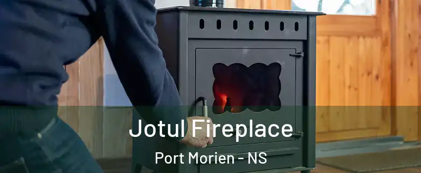  Jotul Fireplace Port Morien - NS