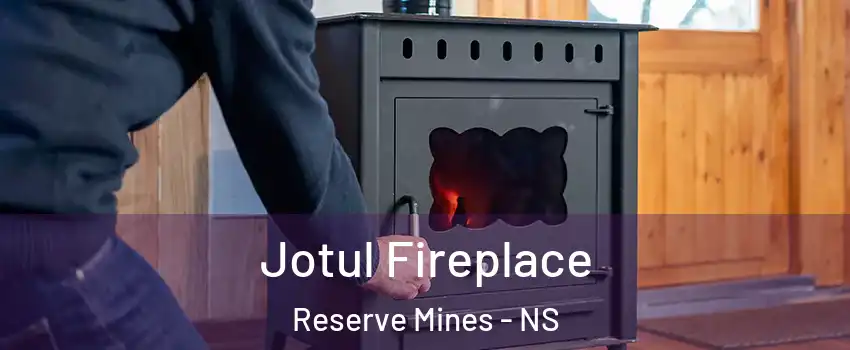  Jotul Fireplace Reserve Mines - NS