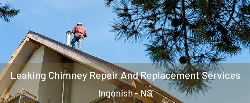  Leaking Chimney Repair And Replacement Services Ingonish - NS