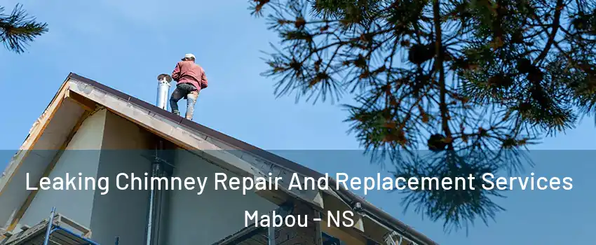  Leaking Chimney Repair And Replacement Services Mabou - NS