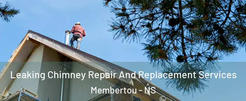  Leaking Chimney Repair And Replacement Services Membertou - NS