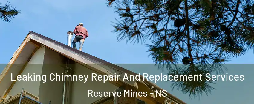  Leaking Chimney Repair And Replacement Services Reserve Mines - NS