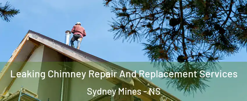  Leaking Chimney Repair And Replacement Services Sydney Mines - NS