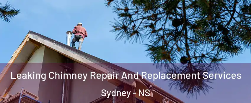  Leaking Chimney Repair And Replacement Services Sydney - NS