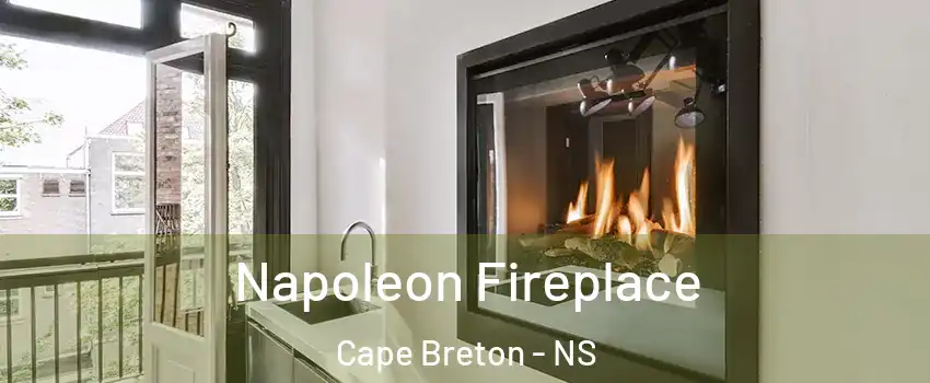  Napoleon Fireplace Cape Breton - NS