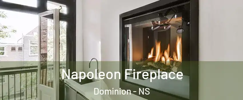  Napoleon Fireplace Dominion - NS