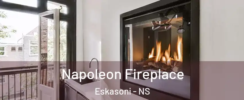  Napoleon Fireplace Eskasoni - NS