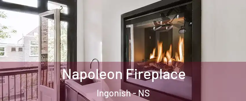  Napoleon Fireplace Ingonish - NS