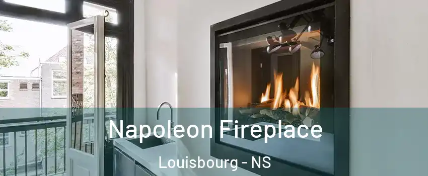  Napoleon Fireplace Louisbourg - NS