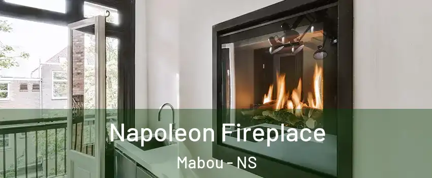  Napoleon Fireplace Mabou - NS