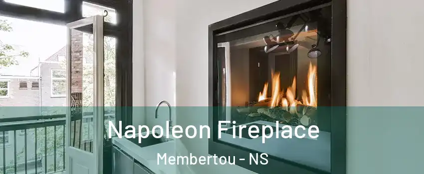  Napoleon Fireplace Membertou - NS