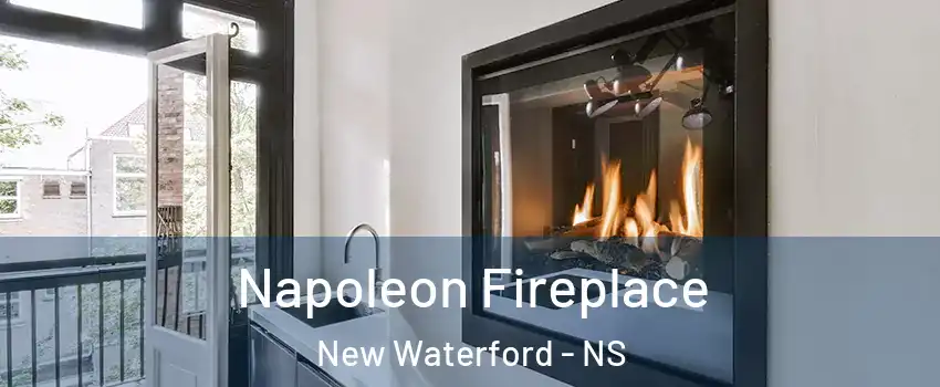  Napoleon Fireplace New Waterford - NS