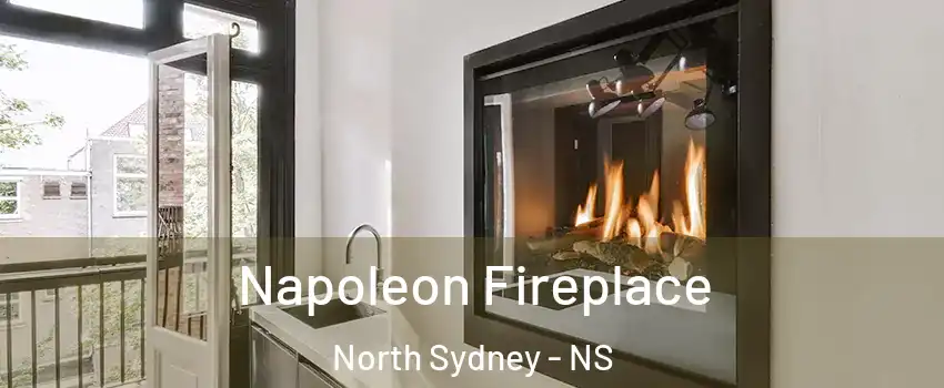  Napoleon Fireplace North Sydney - NS
