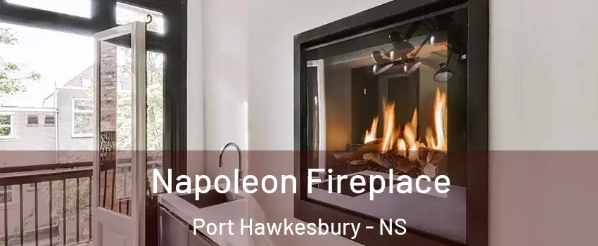  Napoleon Fireplace Port Hawkesbury - NS