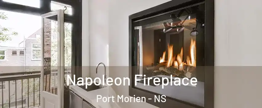  Napoleon Fireplace Port Morien - NS