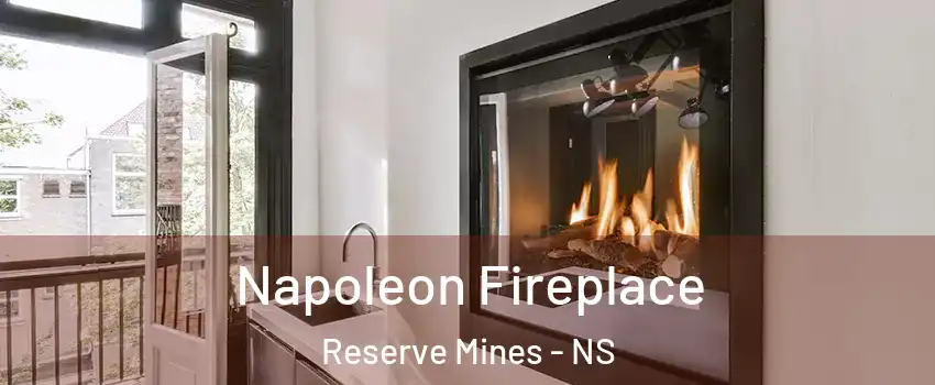  Napoleon Fireplace Reserve Mines - NS