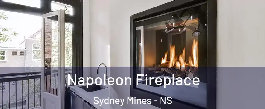  Napoleon Fireplace Sydney Mines - NS